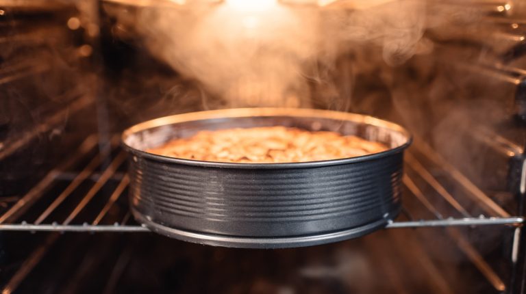 Is a Steam Oven Worth the Investment or Just Overpriced?