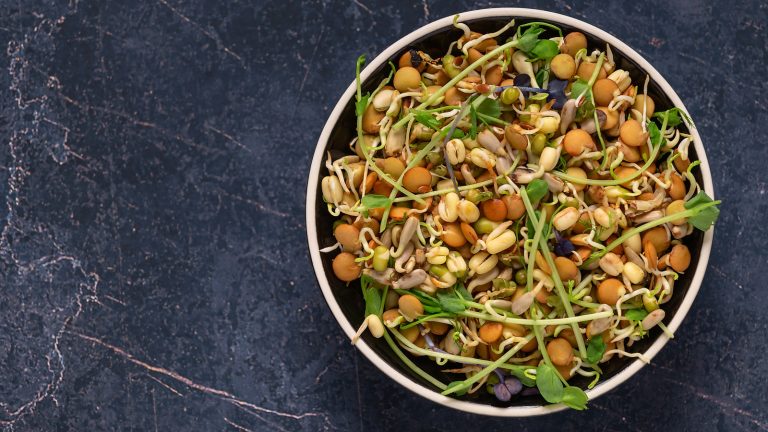 Growing Lentils in Your Kitchen: A Step-by-Step Guide