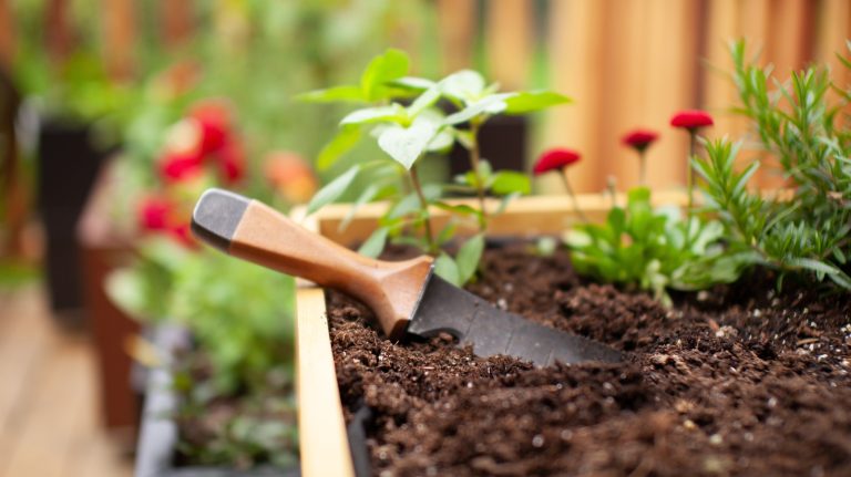 Discover the Secret to Easier Gardening with This Affordable Japanese Tool Available Online