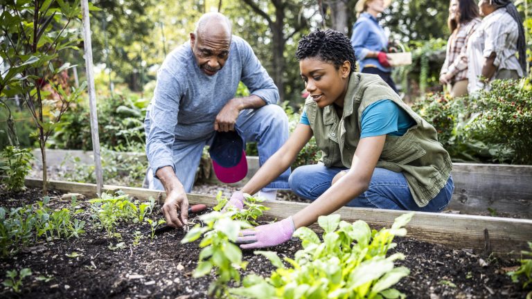 Sunken vs. Raised Bed Gardens: Understanding the Differences