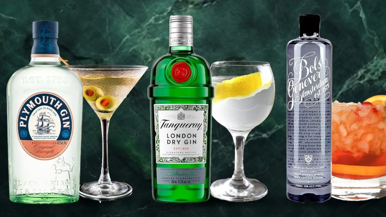10 Gin Styles and Their Perfect Serving Suggestions