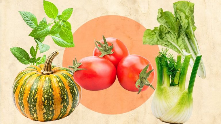 15 Plants to Avoid Growing with Tomatoes