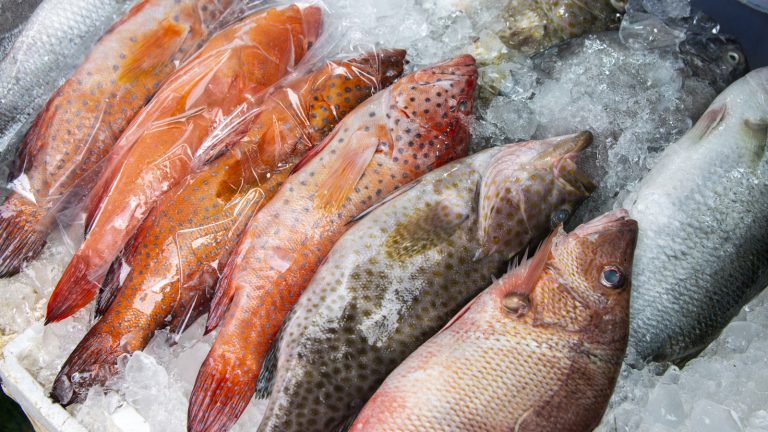 Surprisingly, There's No Need to Thaw Frozen Fish Before Cooking – Here's Why