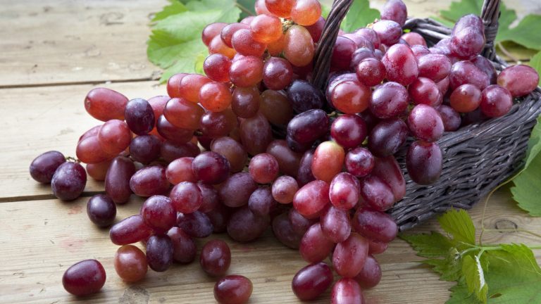 Do Candy Heart Grapes Contain Seeds? Essential Information You Should Know
