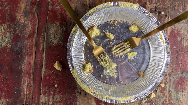 Save Your Pie Tin: A Handy Tool for Bird Feeders