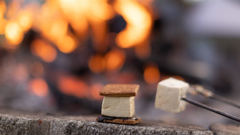 The Essential Grilling Tool for Perfect S'mores This Summer