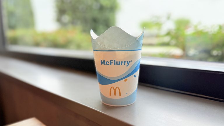 Review of McDonald's S'more McFlurry
