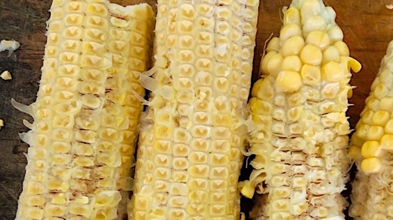 Don't Discard Those Corn Cobs — Use Them in Your Smoker Instead