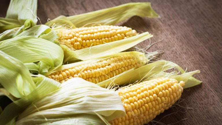 Master the Art of Freezing Fresh Corn: Tips for Cob and Kernel Storage