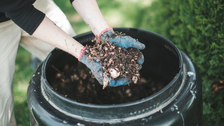 Why You Should Avoid Composting Used Cooking Oil in Your Garden (Unless You Follow These Steps)