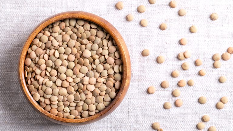 Understanding Lentils: The Affordable Protein Essential for Your Pantry