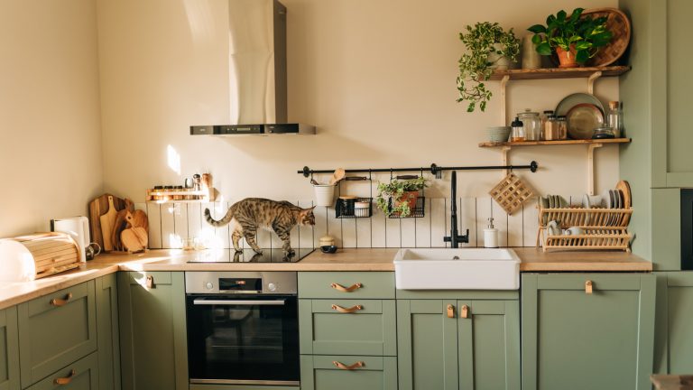 9 Adorable Kitchen Finds Inspired by Food Shapes
