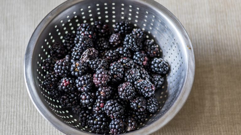 Repurpose Your Old Strainer with This Brilliant Garden Hack