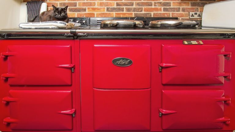 Why We’re Excited for the Return of Vibrant Kitchen Appliances