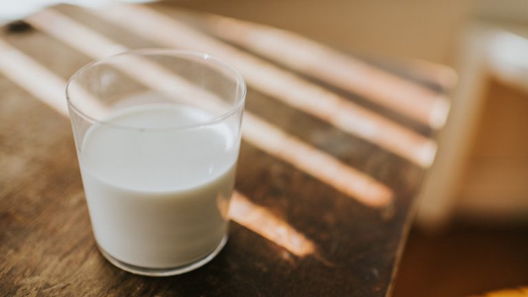Which Country Leads the World in Milk Production?