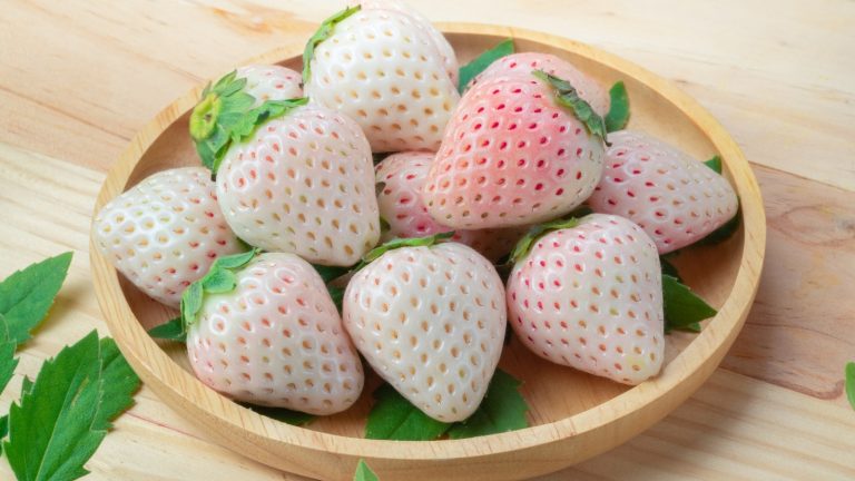 The Truth About Pineberries: Separating Fact from Fiction
