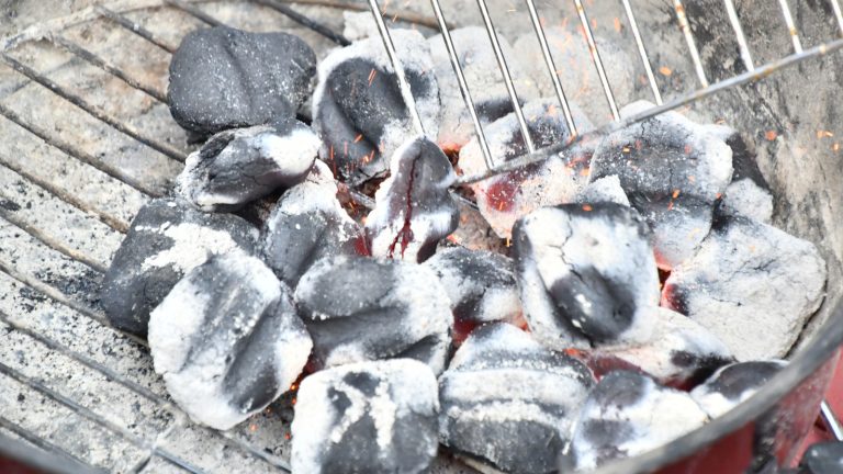 Why Kirkland Signature Charcoal Faces Backlash on Reddit