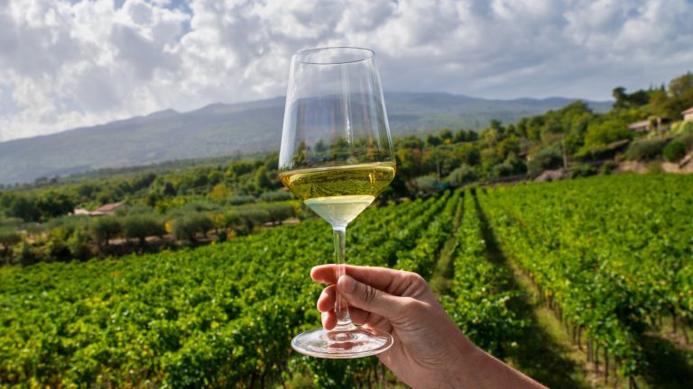 15 Expert-Recommended Wine Regions Around the World You Might Not Know