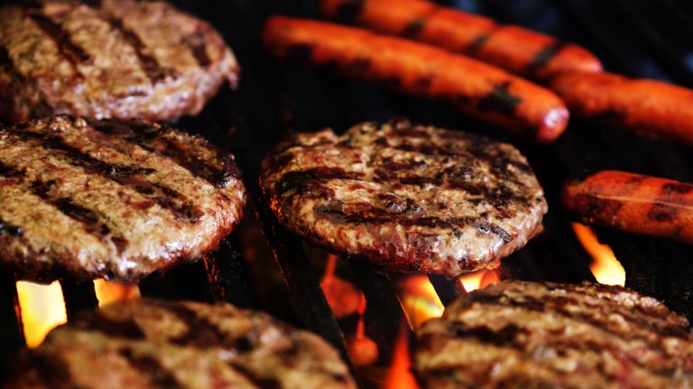 Which Has More Protein: A Hot Dog or a Hamburger?