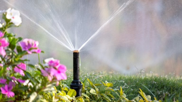 The Costco Gardening Device That Outsmarts You in Watering